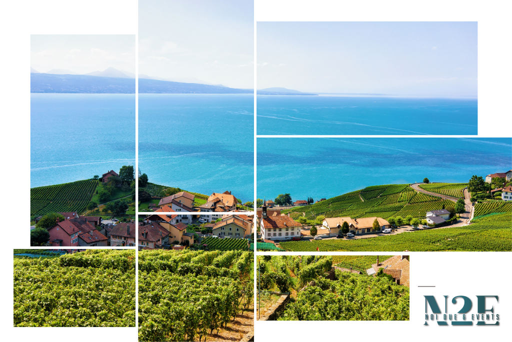 Swiss wine and more